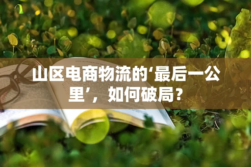 山区电商物流的‘最后一公里’，如何破局？