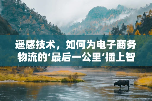遥感技术，如何为电子商务物流的‘最后一公里’插上智慧之翼？