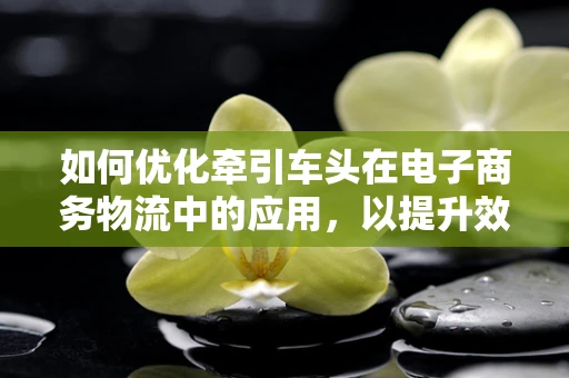 如何优化牵引车头在电子商务物流中的应用，以提升效率与安全性？
