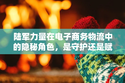 陆军力量在电子商务物流中的隐秘角色，是守护还是赋能？