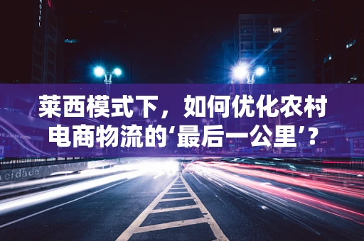 莱西模式下，如何优化农村电商物流的‘最后一公里’？