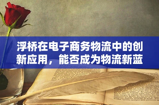 浮桥在电子商务物流中的创新应用，能否成为物流新蓝海？