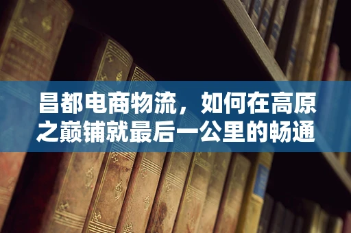 昌都电商物流，如何在高原之巅铺就最后一公里的畅通之路？