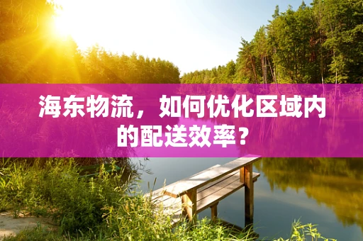 海东物流，如何优化区域内的配送效率？