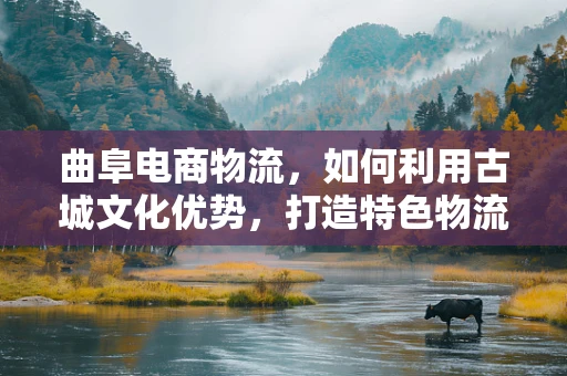 曲阜电商物流，如何利用古城文化优势，打造特色物流体验？