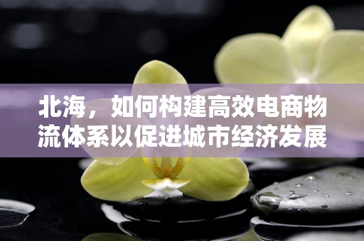 北海，如何构建高效电商物流体系以促进城市经济发展？