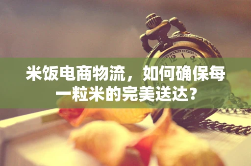米饭电商物流，如何确保每一粒米的完美送达？