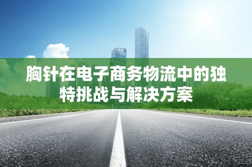 胸针在电子商务物流中的独特挑战与解决方案