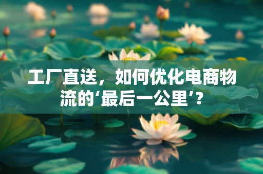 工厂直送，如何优化电商物流的‘最后一公里’？