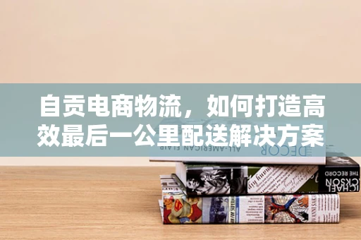 自贡电商物流，如何打造高效最后一公里配送解决方案？