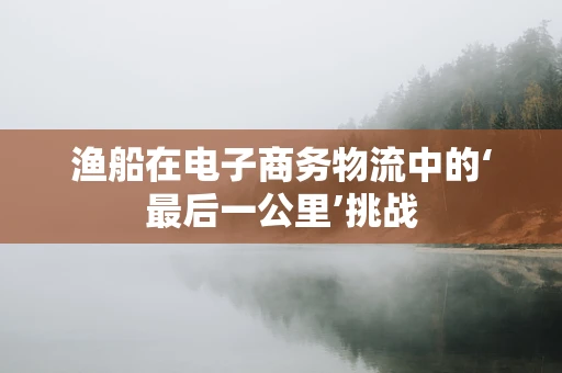 渔船在电子商务物流中的‘最后一公里’挑战