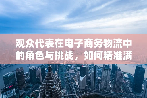 观众代表在电子商务物流中的角色与挑战，如何精准满足其需求？