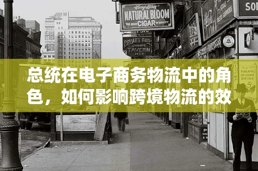 总统在电子商务物流中的角色，如何影响跨境物流的效率与安全？