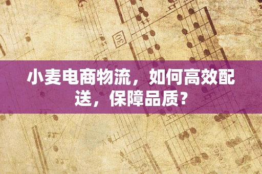 小麦电商物流，如何高效配送，保障品质？