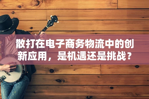 散打在电子商务物流中的创新应用，是机遇还是挑战？