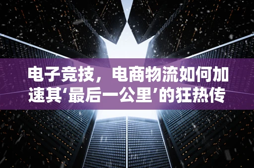 电子竞技，电商物流如何加速其‘最后一公里’的狂热传递？