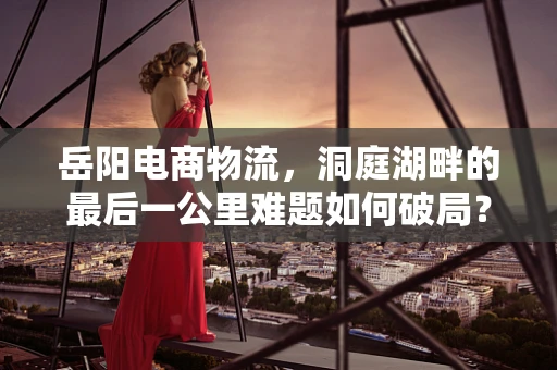 岳阳电商物流，洞庭湖畔的最后一公里难题如何破局？