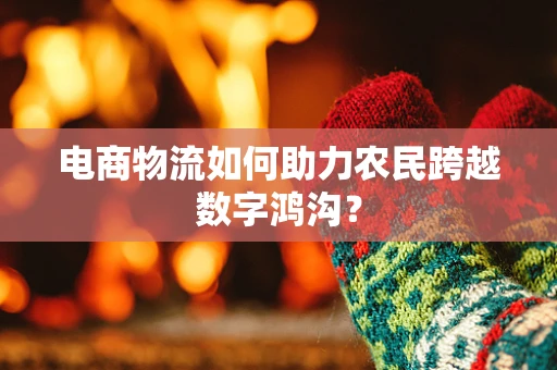 电商物流如何助力农民跨越数字鸿沟？