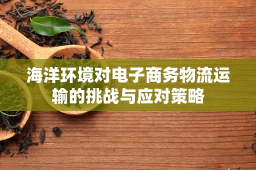 海洋环境对电子商务物流运输的挑战与应对策略