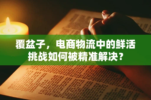 覆盆子，电商物流中的鲜活挑战如何被精准解决？