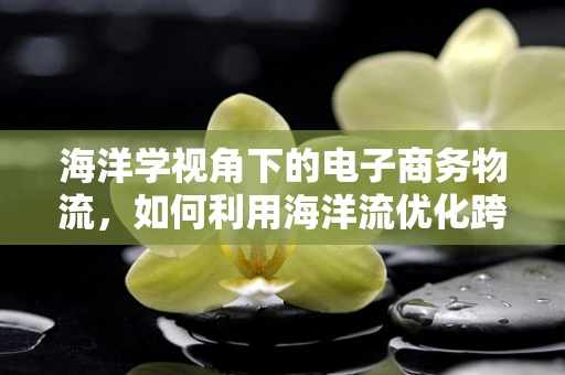 海洋学视角下的电子商务物流，如何利用海洋流优化跨境运输？
