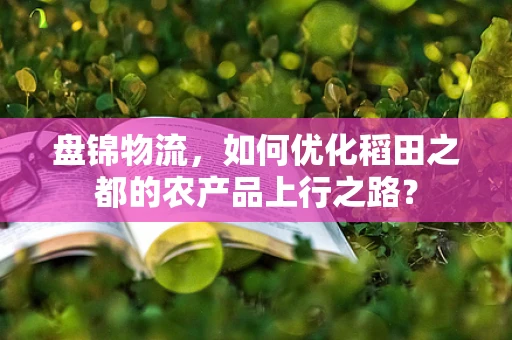 盘锦物流，如何优化稻田之都的农产品上行之路？