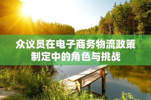 众议员在电子商务物流政策制定中的角色与挑战