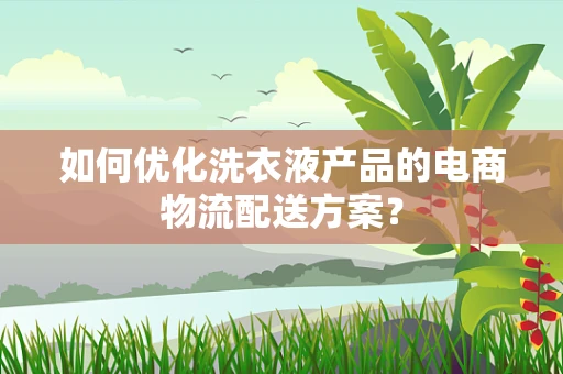 如何优化洗衣液产品的电商物流配送方案？