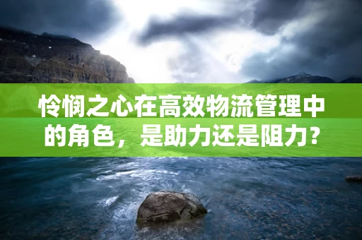 怜悯之心在高效物流管理中的角色，是助力还是阻力？