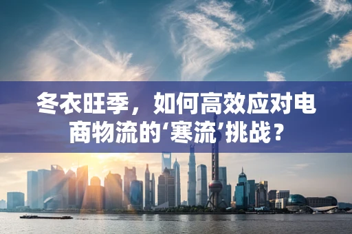 冬衣旺季，如何高效应对电商物流的‘寒流’挑战？