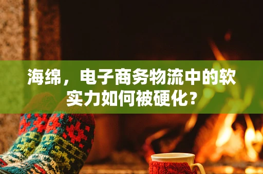 海绵，电子商务物流中的软实力如何被硬化？