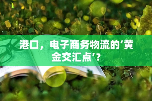 港口，电子商务物流的‘黄金交汇点’？