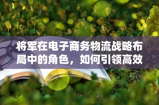 将军在电子商务物流战略布局中的角色，如何引领高效供应链的制胜一役？