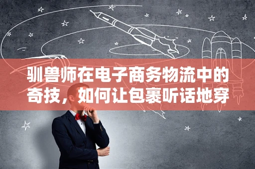 驯兽师在电子商务物流中的奇技，如何让包裹听话地穿越城市迷宫？
