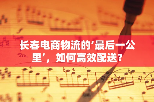长春电商物流的‘最后一公里’，如何高效配送？