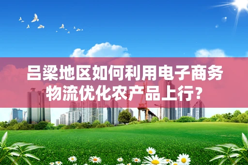 吕梁地区如何利用电子商务物流优化农产品上行？