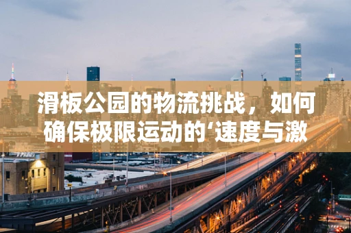 滑板公园的物流挑战，如何确保极限运动的‘速度与激情’？