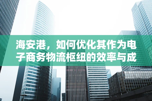 海安港，如何优化其作为电子商务物流枢纽的效率与成本？