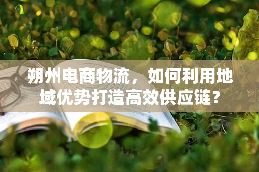 朔州电商物流，如何利用地域优势打造高效供应链？
