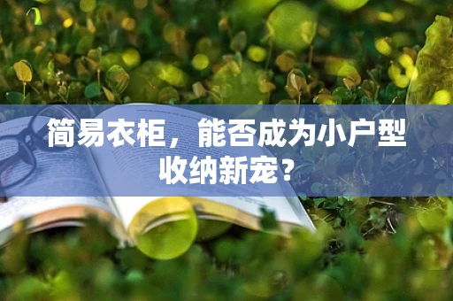 简易衣柜，能否成为小户型收纳新宠？