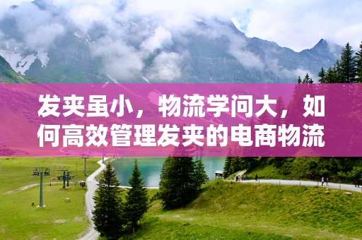 发夹虽小，物流学问大，如何高效管理发夹的电商物流？