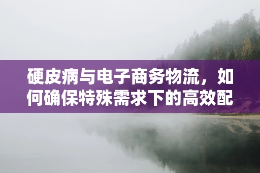 硬皮病与电子商务物流，如何确保特殊需求下的高效配送？