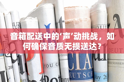 音箱配送中的‘声’动挑战，如何确保音质无损送达？