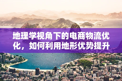 地理学视角下的电商物流优化，如何利用地形优势提升配送效率？