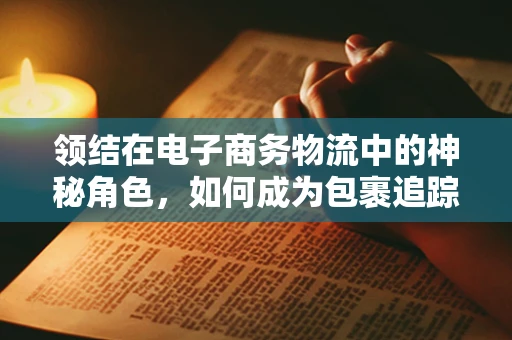 领结在电子商务物流中的神秘角色，如何成为包裹追踪的隐形助手？