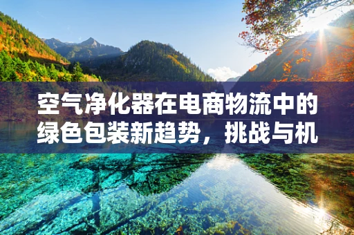 空气净化器在电商物流中的绿色包装新趋势，挑战与机遇并存？
