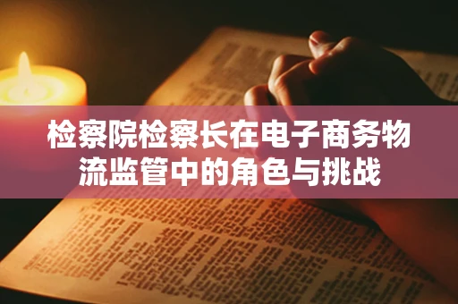 检察院检察长在电子商务物流监管中的角色与挑战