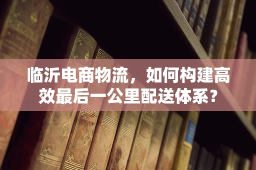 临沂电商物流，如何构建高效最后一公里配送体系？