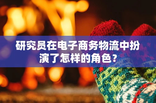研究员在电子商务物流中扮演了怎样的角色？