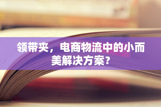 领带夹，电商物流中的小而美解决方案？